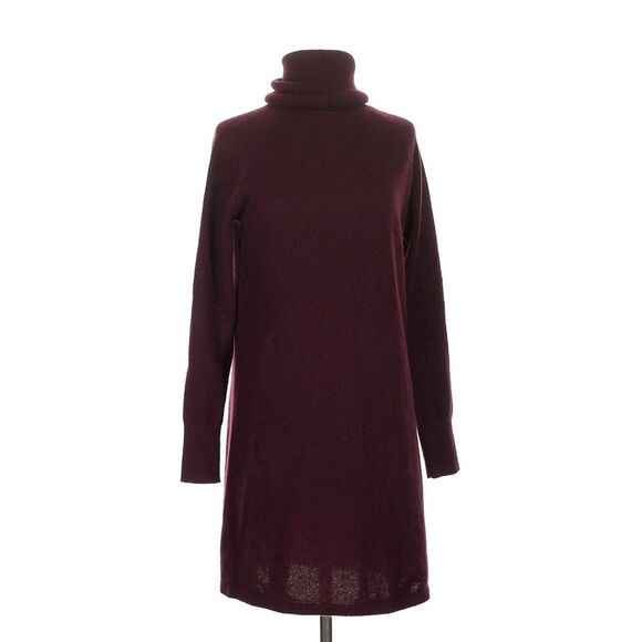 Quince Mongolian Cashmere Kitten Soft Ox Blood Burgundy Turtleneck Dress Small - Picture 2 of 8